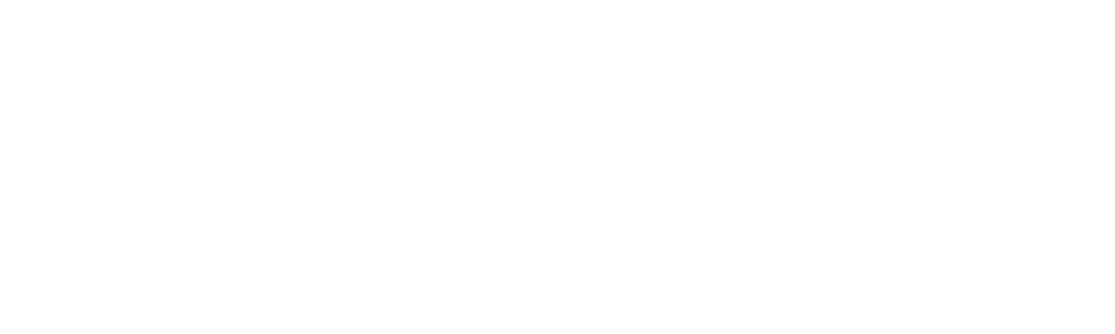 marinship logo white